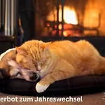 Haus Meta